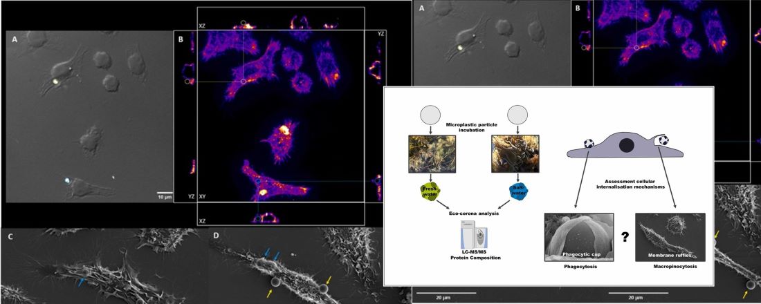 Slider New CRC Microplastics Publication